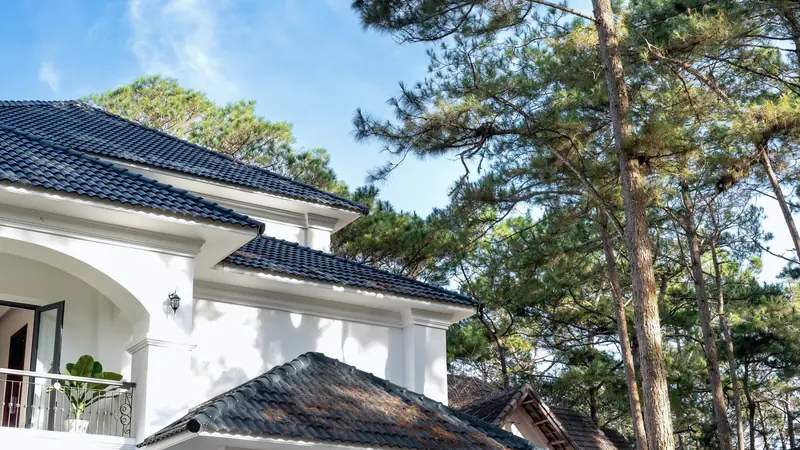 Maison aux murs blancs et au toit de tuiles sombres, entourée de grands pins sous un ciel bleu