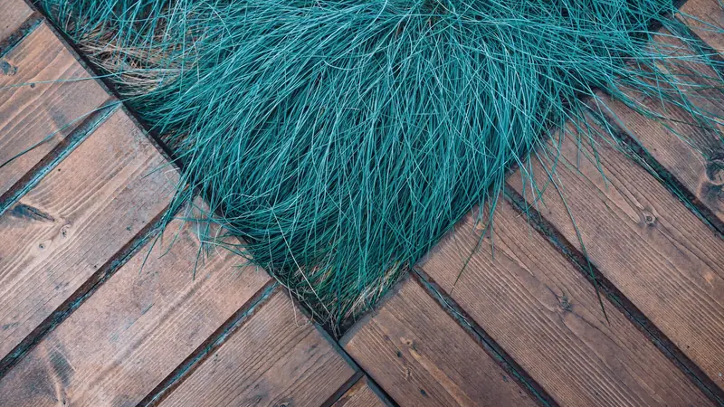 Platelage en bois brun posé à joints réguliers autour d'une touffe de graminées bleues