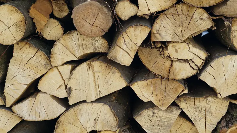 Bûches fendues empilées, vues de face, bois clair et écorce sombre