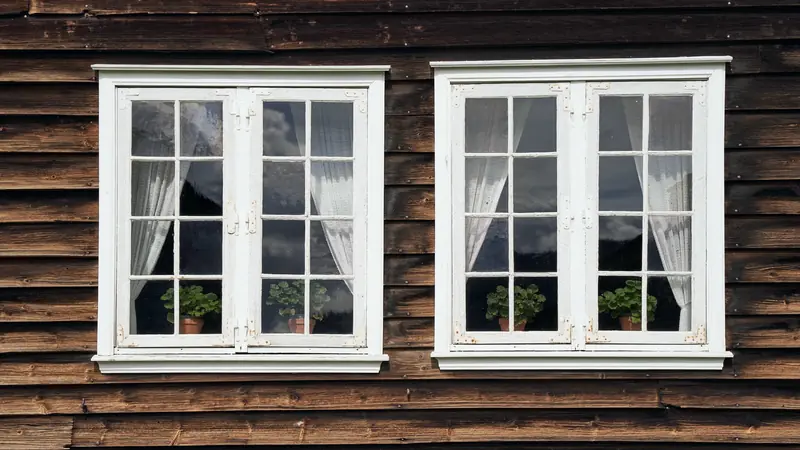 Deux anciennes fenêtres à petits carreaux et cadres blancs sur une façade en bardage bois sombre, rideaux et géraniums derrière les vitres